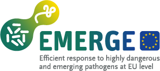 Logo EMERGE Project